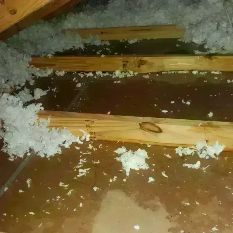 Attic Water Damage in Double Springs, AL