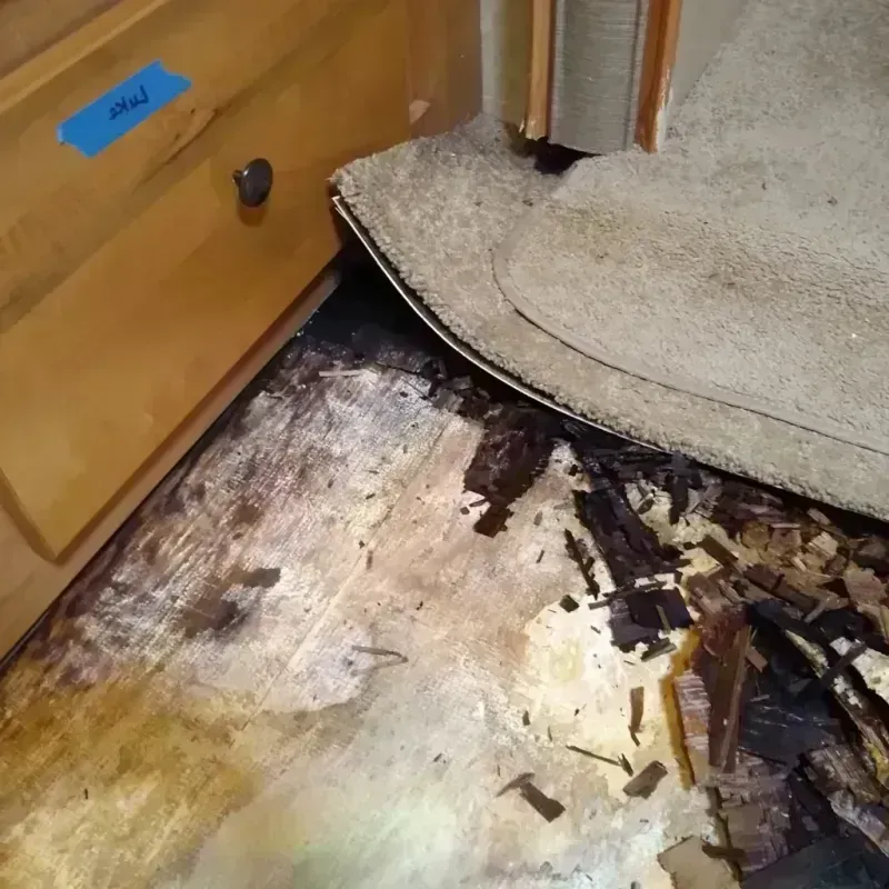 Wood Floor Water Damage in Double Springs, AL